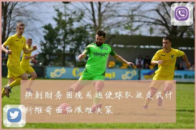 热刺财务困境或迫使球队放走武什科维奇面临艰难决策