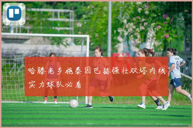哈滕老乡施泰因巴赫强壮双塔内线实力球队必看